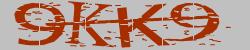 Darstellung des Captcha-Codes.